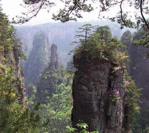 天子山迷人的风光