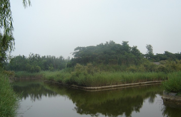 【印象聊城·景点篇】山东·聊城·马颊河度假村