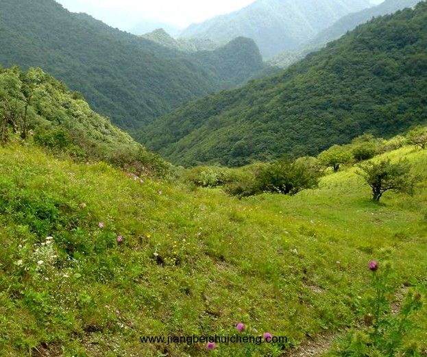 【走遍中国·景点篇】秦岭