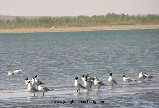 【走遍中国·景点篇】陕西·福地湖